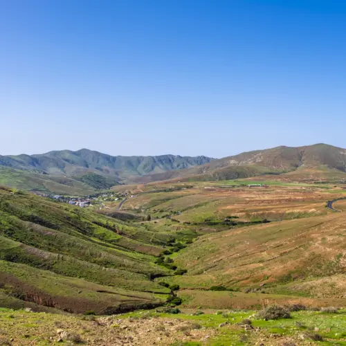 iStock-1162094749guise ayose_result